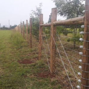 Free Standing Electric Fence with treated wooden posts, includes energizer, alarm kit, HT wire, full installation, 12-month warranty. Price varies with plot
