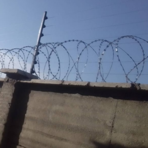 Top Wall Electric Fence & Razor Wire Package for 100x100 Plot, includes energizer, alarm kit, HT wire, 450mm razor wire, 12-month warranty