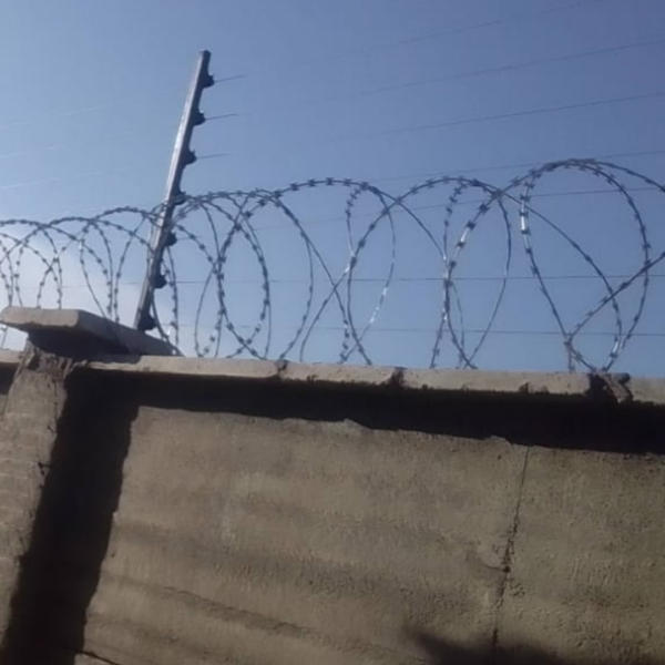 Top Wall Electric Fence & Razor Wire Package for 100x100 Plot, includes energizer, alarm kit, HT wire, 450mm razor wire, 12-month warranty
